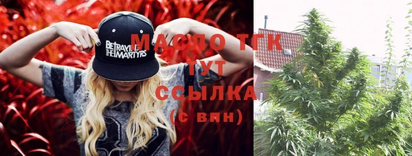 крисы Вязники