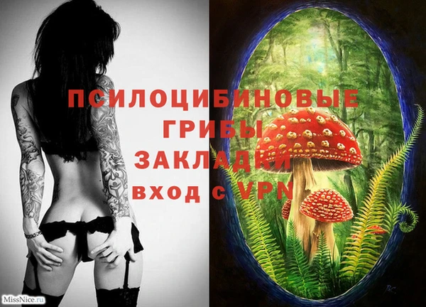 крисы Вяземский