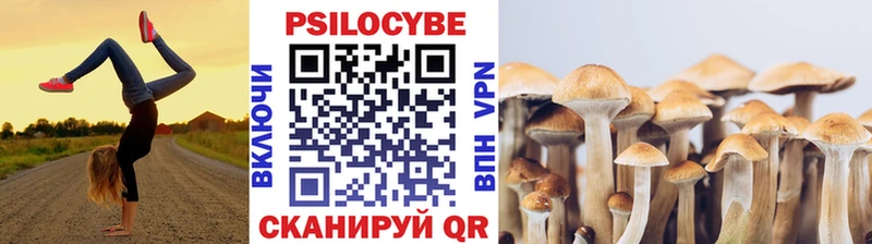 сколько стоит Подольск Псилоцибиновые грибы мухоморы